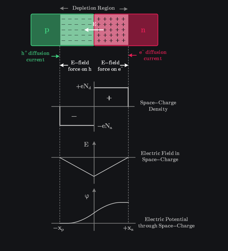 depletion region of pn junction and formation of electric field & voltage inside it